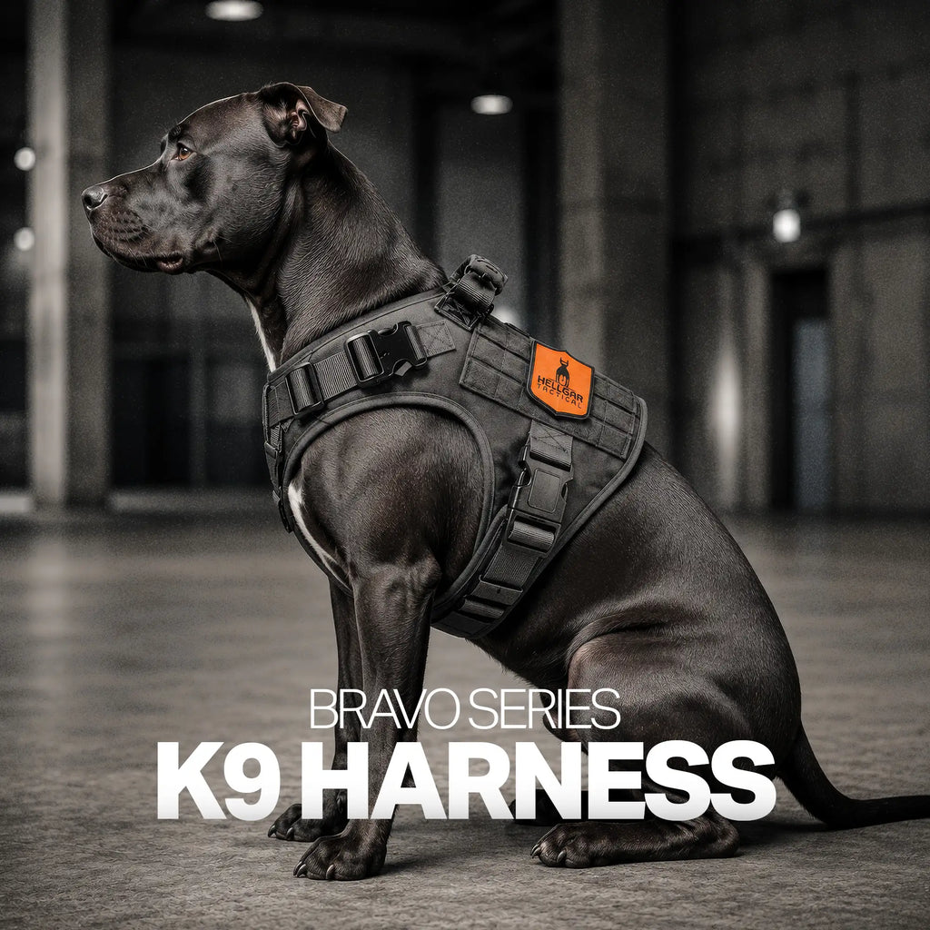 Escape Proof Dog Harness