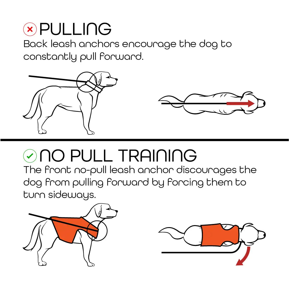 Escape Proof Dog Harness